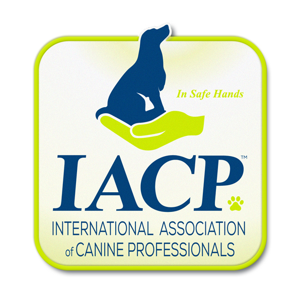 IACP member